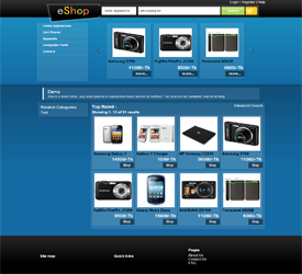 E Commerce Web Design and Developmetn at LumexTech